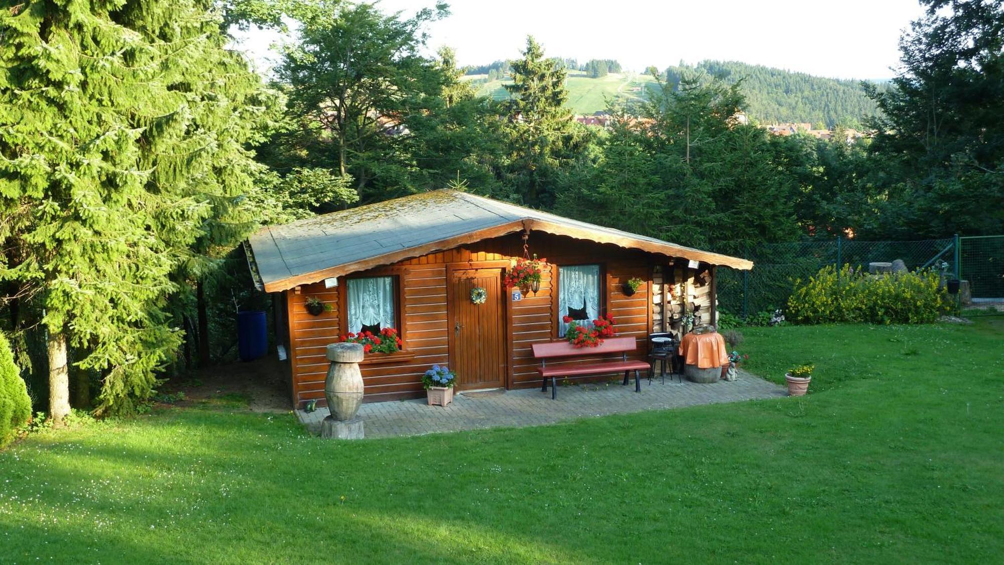 4 Sterne Ferienwohnung 140 Qm Im Haus Tina Санкт-Андреасберг Экстерьер фото